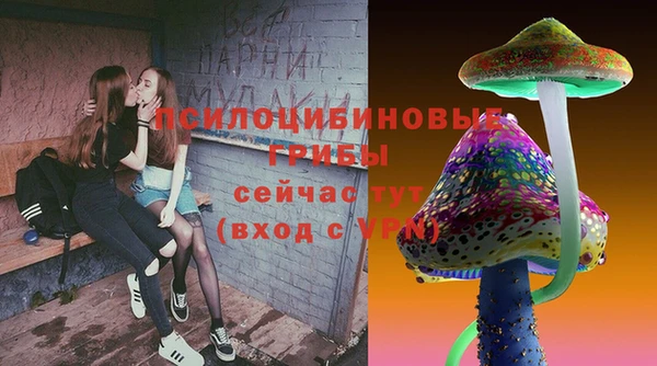каннабис Богородицк