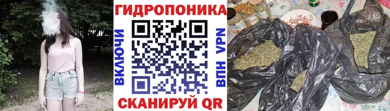 Каннабис планчик  Тобольск 